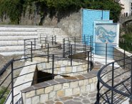 Anfitetaro lungocanne Lam