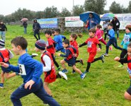 Atletica corsa campestre ragazzi