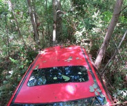 Auto dirupo Carlopoli