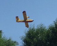 Canadair cap suv lam