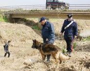 Carabinieri ricerche
