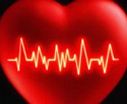 Cuore