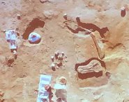 Elefante preistorico Sila