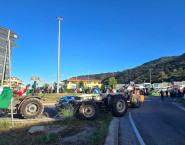 Falerna agricoltori protesta