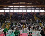 Judo torneo citta Lamezia