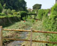 Lamezia fiume canne