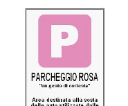 Lamezia_parcheggio_rosa