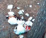 Lungomare Lam rifiuti pineta