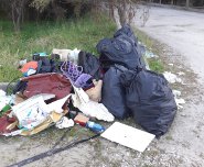 Lungomare pineta rifiuti