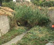 Malgrado Tutto pulizia fiumi