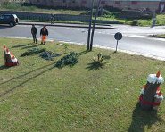 Malgrado Tutto rotatorie