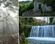 Miglierina di Lamezia scorci vegetazione