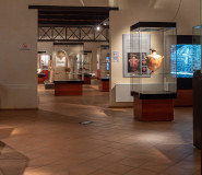 Museo archeologico Lametino interno