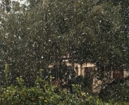 Neve Lamezia raffiche