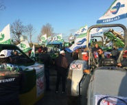 Olivicoltori protesta Lam