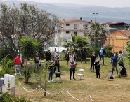 Palestre titolari flah mob