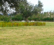 Parco 25 Aprile scorcio