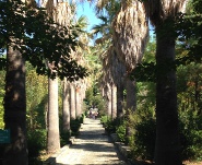 Parco Comuni Giardino botanico viale