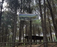 Parco avventura Sorvolandia