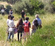 Pasqua gita fuori archivio