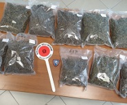 Polizia marijuana A2