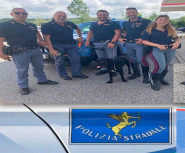 Polstrada Lamezia salva cane