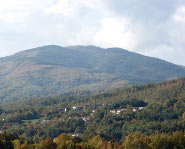 Reventino