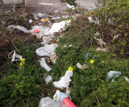 Rifiuti strada centro