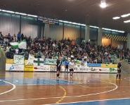 Royal gioco palazzetto