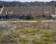 Stadio Carlei degrado