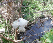 Torrenti erbacce e altro Lam