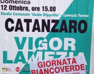 Vigor-Cz manifesto 121014