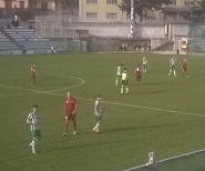 Vigor Reggina 16