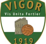 Vigor 1919 logo