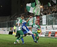 Vigor Puccio fascia