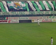 Vigor_tifo2