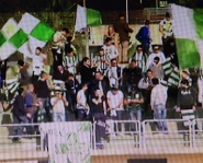 Vigor tifo a Cs