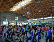 kangoo jumps Lam a Rn