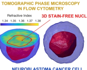 Pronta "Tac" 3D per singole cellule, distingue le sane dalle malate